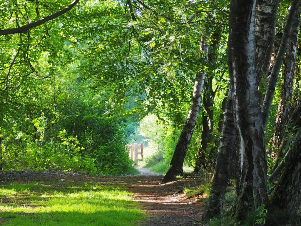 Deze afbeelding heeft een leeg alt-attribuut; de bestandsnaam is Wandelpad-met-hekje-lente-1024x768.jpg
